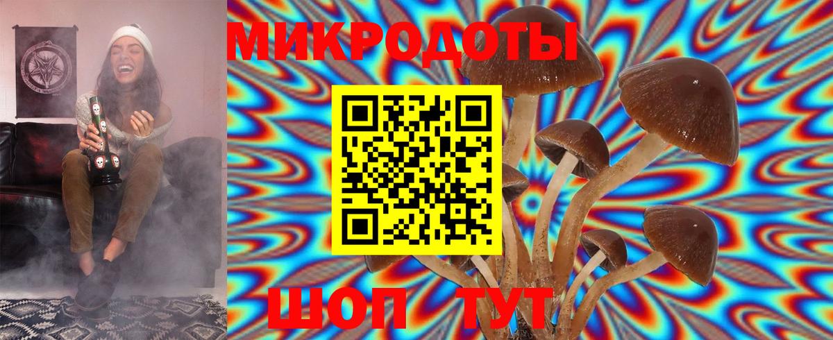 Псилоцибиновые грибы GOLDEN TEACHER  Галлюциногенные грибы Psilocybe  Миасс  Вход с VPN 